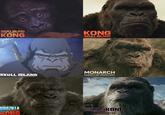 SKULL ISLAND THE BIRTH OF KONG KONG SKULL ISLAND SKULL ISLAND MONARCH LEGACY OF MONSTERS ONE WILL FALL GODZILLA KONG GODZILLA KONG THE NEW EMPIRE