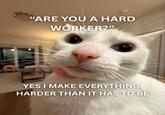 "ARE YOU A HARD WORKER?" YES I MAKE EVERYTHING HARDER THAN IT HAS TO BE