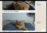 Look at his anger 4:34 PM Now see him fabulous 4:35 PM 24