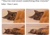 "You're not even watching the movie" Me: Yes I am