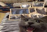 PICTOPHILE APP