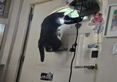 PLATERE Lab Mobile Hose Serdic