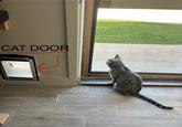 CAT DOOR