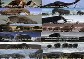 Journey to the beginning of time (1955) Walking with beasts (2001) Night at the museum (2006) A Quest for fire (1981) Prehistoric park (2006) 10,000 B.C. (2008) Monsters resurrected Ice age giants (2013) (2010) Titans of the ice age (2013) Attenborough and the mammoth graveyard (2018) La brea (2022) Life on our planet (2023) Prehistoric planet (2025) Surviving Earth (2026)