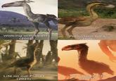 Walking with beasts (2001) Prehistoric park (2006) Life on our Planet (2023) Surviving Earth (2026)