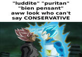 "luddite" "puritan" "bien pensant" aww look who can't say CONSERVATIVE