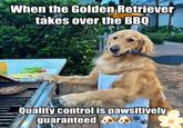 ASA GD RT When the Golden Retriever takes over the BBQ Quality control is pawsitively guaranteed
