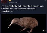 @redsunO21 im so delighted that this creature exists. rat software on bird hardware
