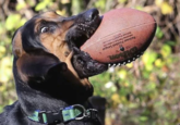 National Football League Americas Footfall Conferate National F