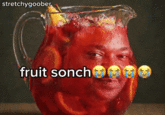 stretchygoober fruit sonch