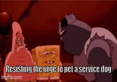 Resisting the urge to pet a service dog imgflip.com