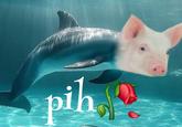 pih🥀