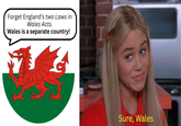 Forget England's two Laws in Wales Acts. Wales is a separate country! Sure, Wales