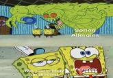 Me, completely unaffected Spring Allergies *cough *cough My family *snffle