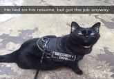 He lied on his resume, but got the job anyway. SECURITY DOG