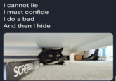 I cannot lie I must confide I do a bad And then I hide e e SCRABBLE