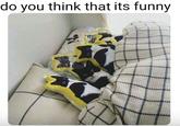 do you think that its funny