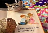 PAW P but the best kind of cat is your very own.