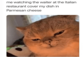 me watching the waiter at the Italian restaurant cover my dish in Parmesan cheese