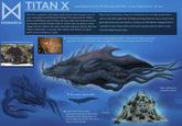☑ MONARCH TITAN X Local Names: Co-Cai, "El Gran Dios Del Mar", or the Great God of the Sea Titan X is a migratory and mainly aquatic species that emerges every 15 years according to early Monarchs findings. First discovered in 1958 by Keiko and Bill Randa and Lee Shaw, the titan dates back centuries for the local people of Sante Soledad, Chile. In modern day, the absence of the villagers further added to the titan's distrubed migration pattern. Because of Apex Cybernetics, it was met with violence and distress in a place where it was worshiped as a god. Due to her size prowess, Titan X is considered to be an alpha species that is able to rival other alphas like Godzilla and Kong. However, she is known to be generally docile and only attacks in reaction and self defense. Equipped with a mouthful of razor sharp teeth and serrated tentacles that are able to crush even the largest human ships. Hypothesized Migratory Pattern (Left) Ancient cave paintings located in Sante Soledad, Chile. "Those in the village would wait year after year for their god to return. To bless the waters and bring the bounty of the sea". Blue whale approx. 100ft (Left) Titan X has a deep emotional connection with some individuals, Cate Randa being the one to guide her back to the rift to return to Axis Mundi. Scarabs Nest is formed in Australian desert