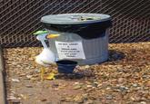 ON HEY, LOOK! A TRASH CAN Great place to put your TRASH.
