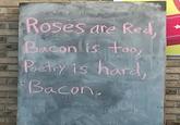 Roses are Red, Bacon is too Poetry is hard, Bacon,