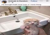 Animals in Random... Follow 6d.⚫ He thought bath time was a 1 time thing ☑