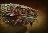 son