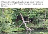When the Dryad wakes up and realises that it's just f***ed a Ranger, and not a Druid: made with mematic