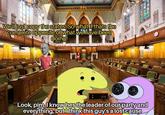 We'll just copy the states! So what if thats the complete opposite of what we have been doing! Look, pim, I know hes the leader of our party and everything, but I think this guy's a lost cause