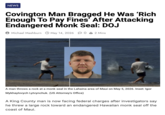 NEWS Covington Man Bragged He Was 'Rich Enough To Pay Fines' After Attacking Endangered Monk Seal: DOJ Michael Mashburn May 14, 2026 02 Mins A man throws a rock at a monk seal in the Lahaina area of Maui on May 5, 2026. Inset: Igor Mykhaylovych Lytvynchuk. (US Attorney's Office) A King County man is now facing federal charges after investigators say he threw a large rock toward an endangered Hawaiian monk seal off the coast of Maui.