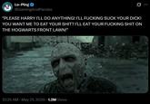 A parody of Homelander's death in The Boys. The parody is based on Harry Potter.