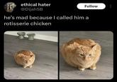 ethical hater @DijahSB Follow he's mad because I called him a rotisserie chicken
