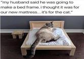 "my husband said he was going to make a bed frame. i thought it was for our new mattress... it's for the cat."