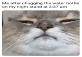 Me after chugging the water bottle on my night stand at 3:37 am