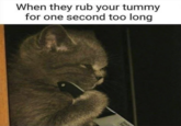 When they rub your tummy for one second too long Stair In