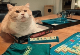 PICTOPHILE APP SCRABBLE ORIGINAL BBLE CHUBST, E R E. S W