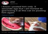 pinar @pienar i know i posted him only .5 seconds ago but i am honest to god losing it at this cat im posting him again Traduci il Tweet 21:24 -04 mag 20 Twitter for iPhone