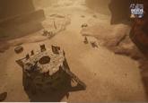 SKULLS SHOWCASE
