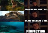 imgflip.com SHOW ME THE REAL T. REX I SAID THE REAL T. REX PERFECTION
