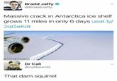 Bradd Jaffy @BraddJaffy Massive crack in Antarctica ice shelf grows 11 miles in only 6 days usat.ly/ 2qGeKdt FBGDANK MEMEOLOGY Dr Cali @calibeenlit That dam squirrel