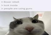 Boxer rebeli > look inside > people are using guns