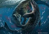 Machuky Paleoart