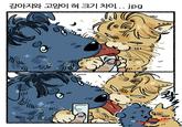 강아지와 고양이 혀 크기 차이... jpg N "