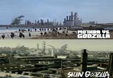 MOTHRA VS. GODZILLA SHIN GODZILLA