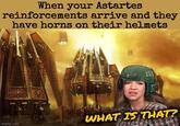 When your Astartes reinforcements arrive and they have horns on their helmets 101 imgflip.com WHAT IS THAT?