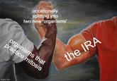 occationally splitting into two new 'organisms' organisms that practice mitosis imgflip.com the IRA