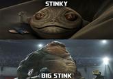 STINKY FY BIG STINK