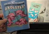 THIS YEAR, FOR YOUR BIRTHDAY, I BOUGHT YOU A FAMILY OF AXOLOTLS! FOR YOUR GOT YOU THEY OF AXOFAMIL Las Visit Axol Cards + (Nor Count: 1 1 $5.99 Actual Colo Key item feat ONE OF AR