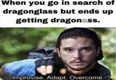 When you go in search of dragonglass but ends up getting dragon@ss. Improvise. Adapt. Overcome